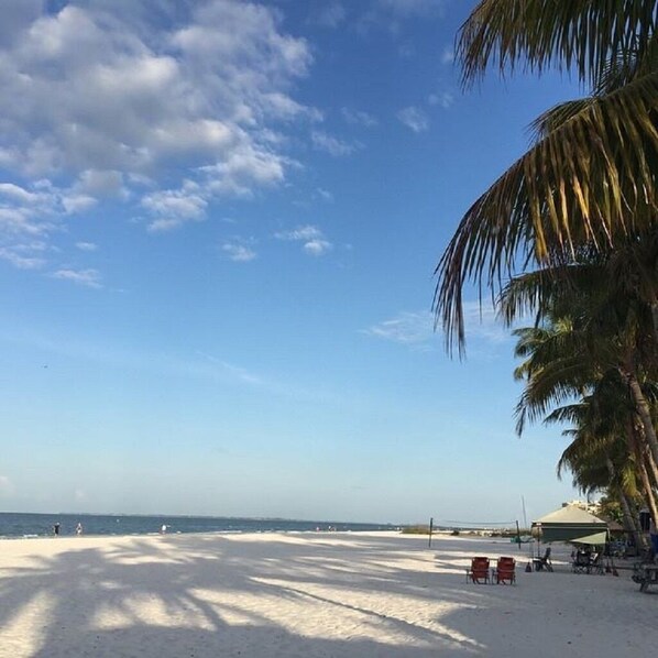 Sun-loungers, beach towels