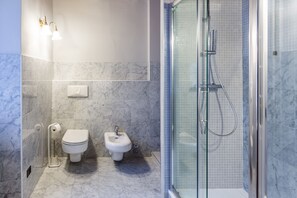 Shower, hair dryer, bidet, towels