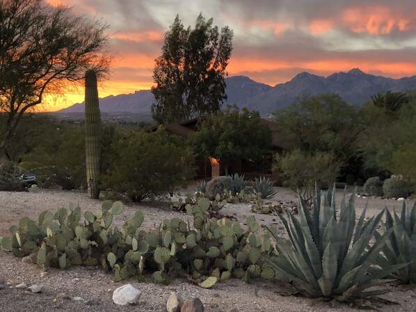 A desert landscape with cacti and a house with a red roof, surrounded by mountains and a sunset sky.