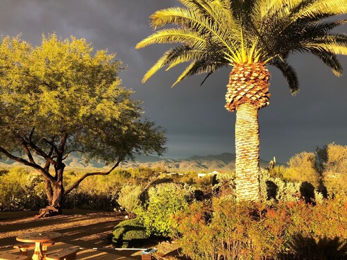 Tucson jalokivi autiomaassa