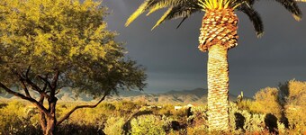 Tucson Gem in the Heart of the Desert