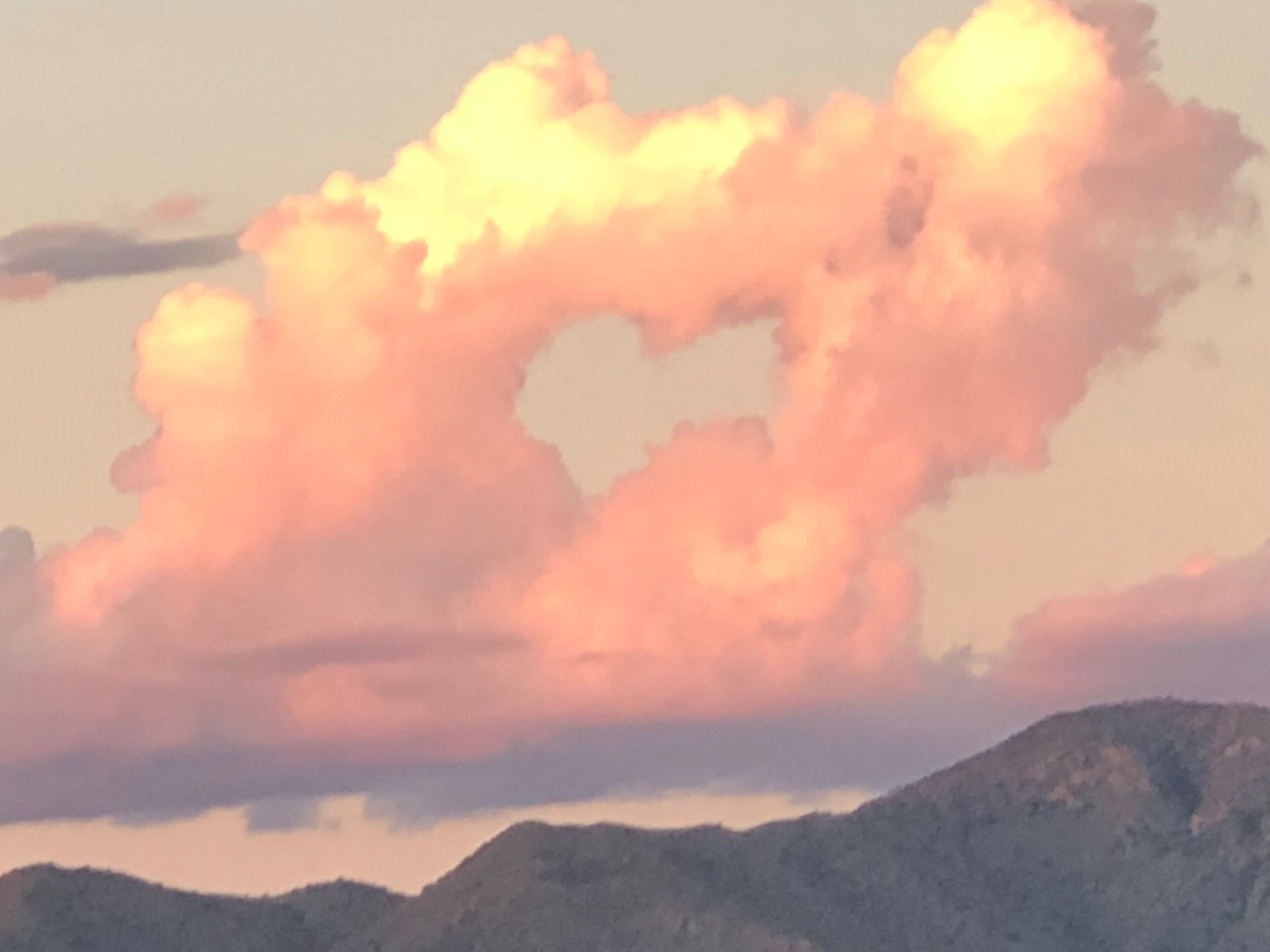 Tucson gem in the heart of the desert