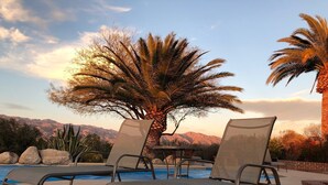 A poolside area with lounge chairs and a palm tree. - Tucson Gem in the Heart of the Desert (Tucson)