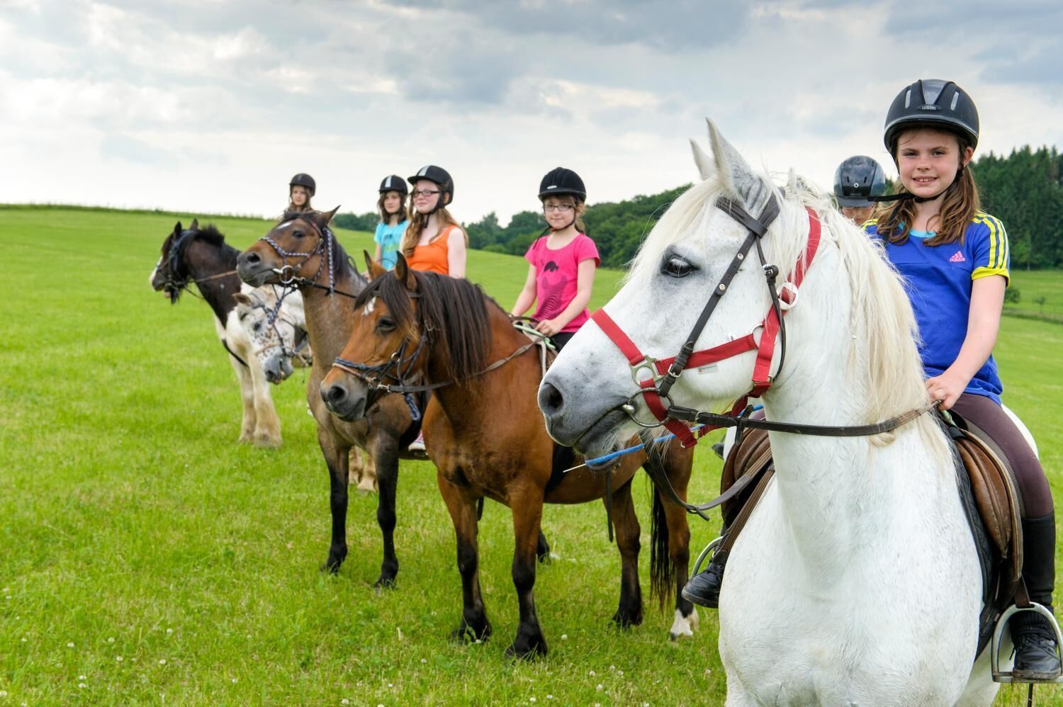 Un grupo de niños montando a caballo en un campo cubierto de hierba.