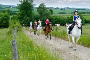 Eine Gruppe von Menschen reitet auf Pferden auf einem Feldweg, umgeben von Grünflächen und Feldern.