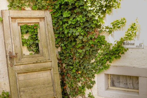 Nengshof - Haus Ehrenpreis