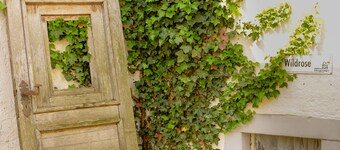 Nengshof - Haus Ehrenpreis