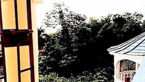 Un balcón con vistas a un jardín y un edificio.