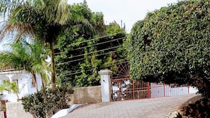 Un patio empedrado con un sendero de ladrillo, rodeado de follaje y una verja roja.