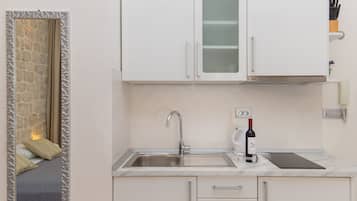 Estudio clásico | Cocina privada | Frigorífico, microondas, horno y placa de cocina
