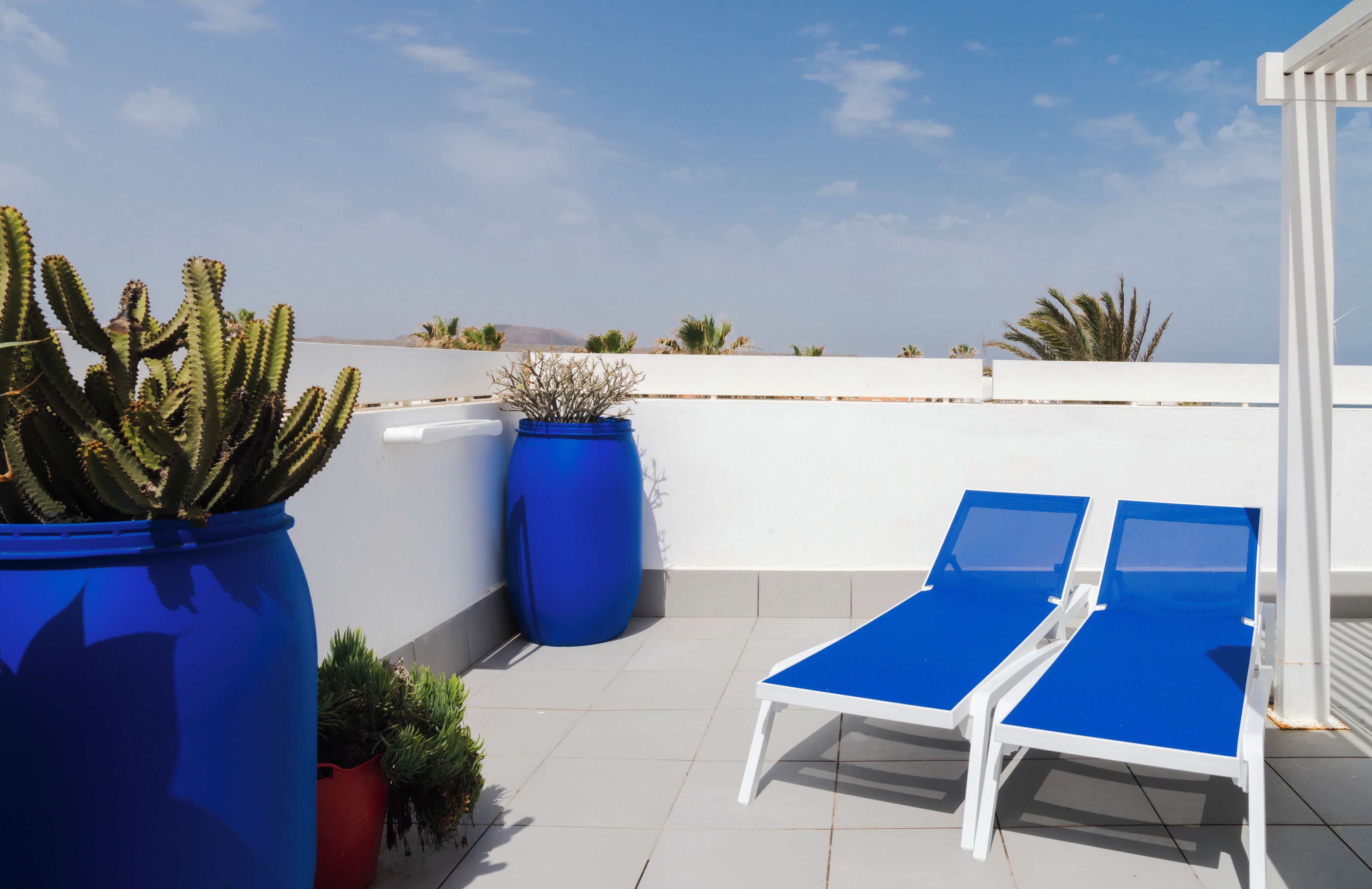 A rooftop terrace with two blue lounge chairs, large potted plants, and a white wall.