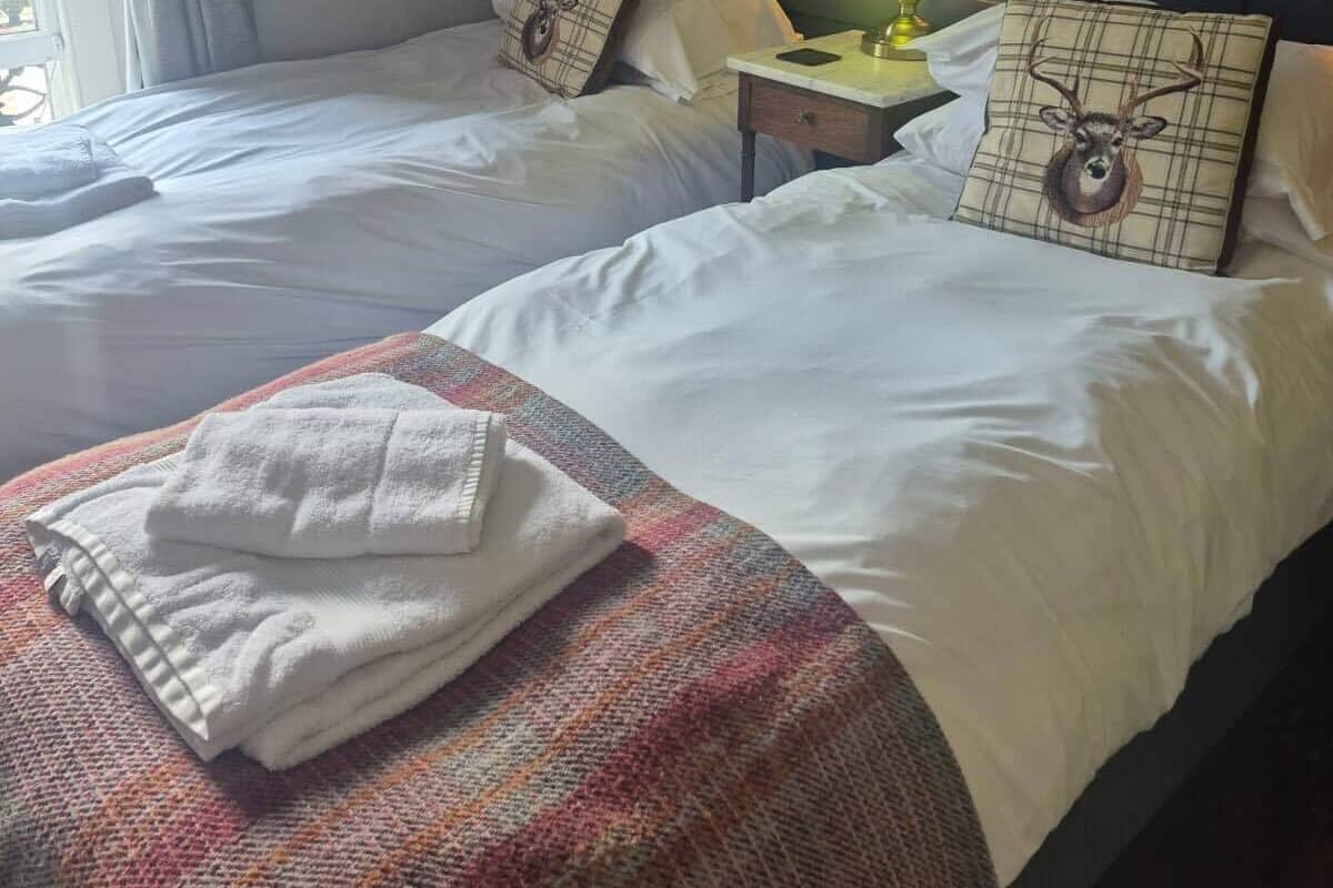 A hotel room with two beds, a dark headboard, a nightstand with a lamp, and a window with curtains.