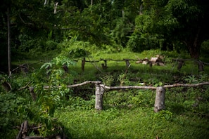 Áreas de la propiedad