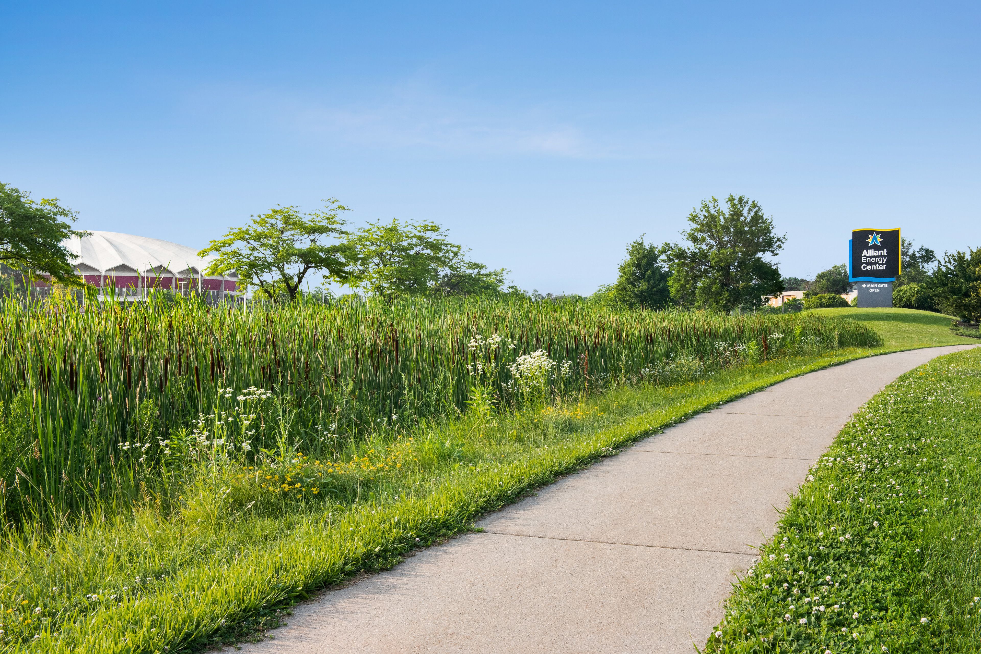 land view from property