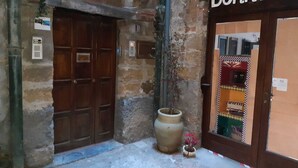 Une entrée avec un mur en pierre, une porte en bois et une grande plante en pot.