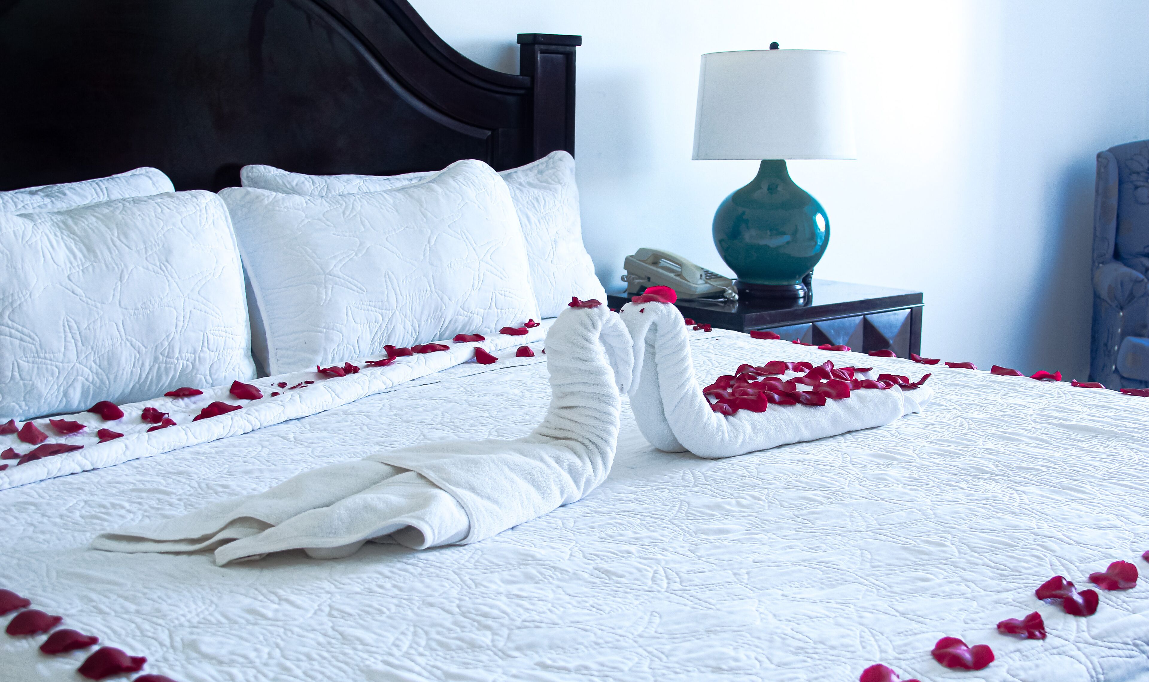 A neatly made bed with white linens and rose petals, a dark headboard, a teal lamp, and a telephone on a bedside table.