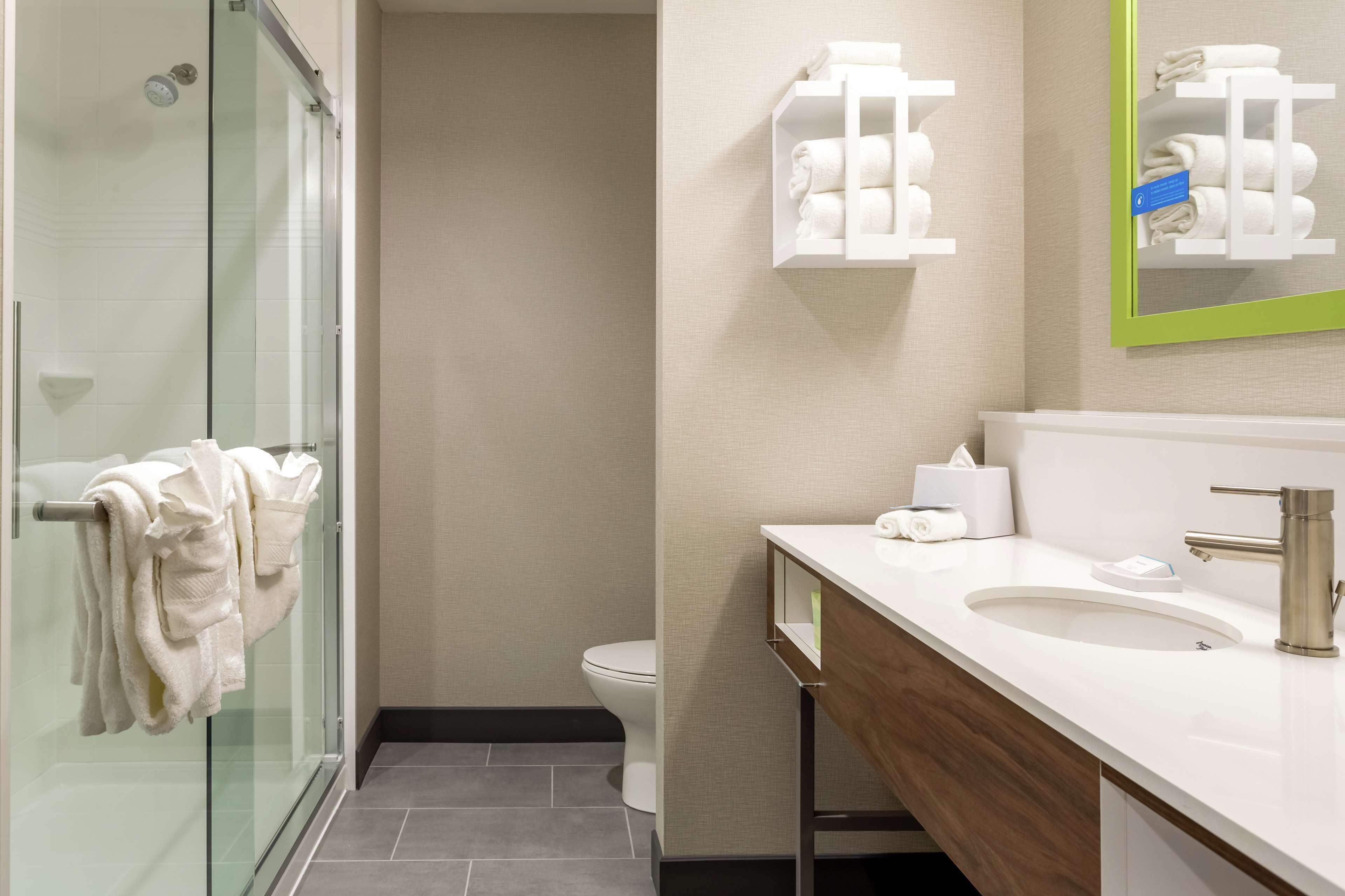 room, 1 king bed with sofa bed, accessible, refrigerator & microwave | bathroom shower