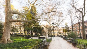 A cobblestone pathway in a park with benches and trees.