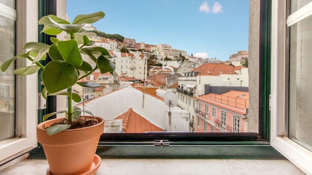 A potted plant on a windowsill with a view of a cityscape through a window. - Casa Mouraria I Castle Views (Lisbon)