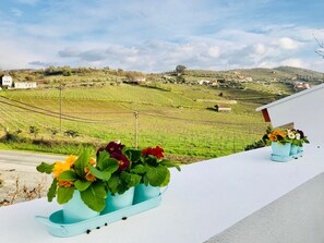 View from property - Casa Relógio de Sol (Lamego)