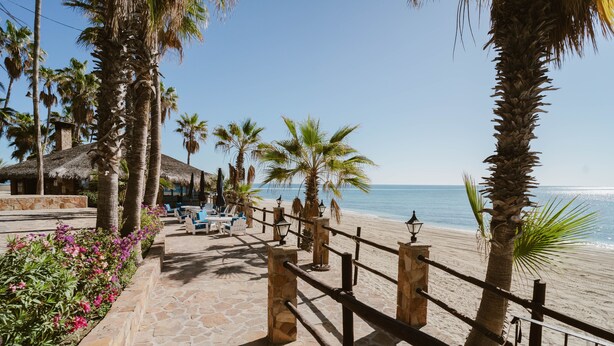A stone pathway leading to a beach with palm trees, a thatched-roof hut, and a fence. - Hotel Rancho Buena Vista (Buenavista)