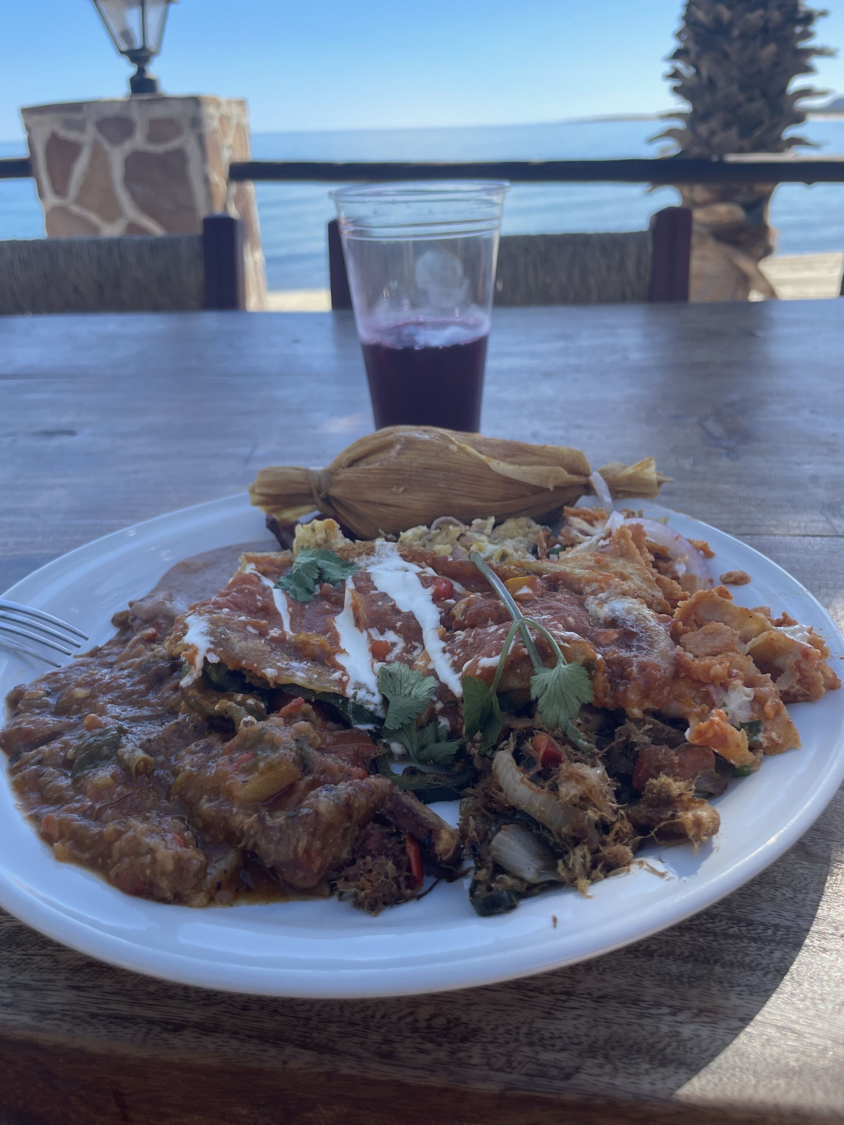 A plate of food with a drink on a table by the sea.