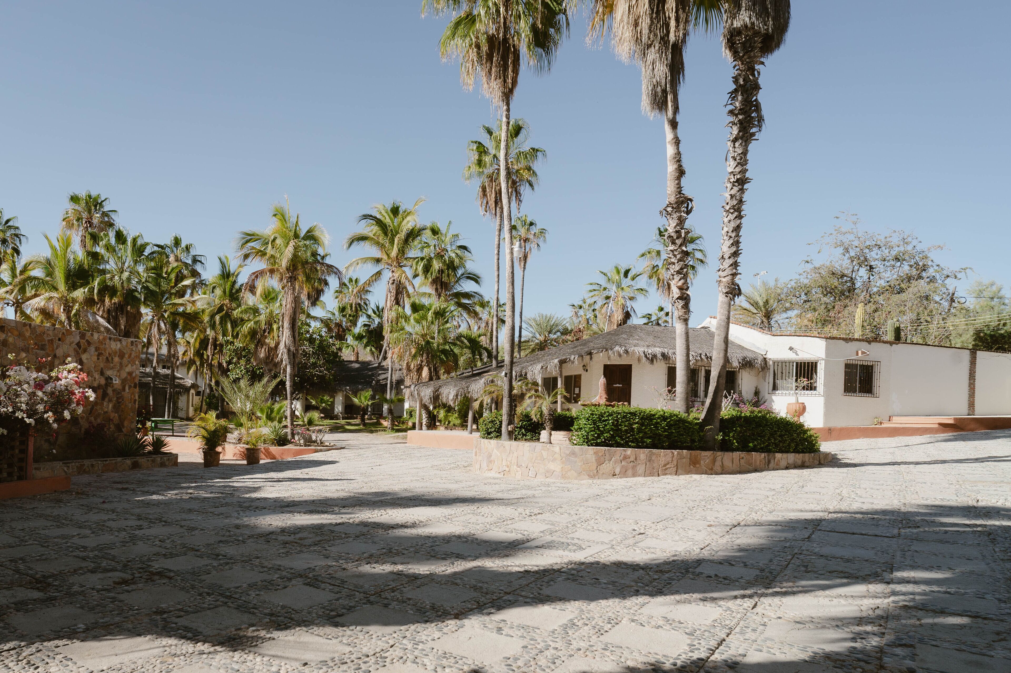 A spacious courtyard with cobblestone flooring, surrounded by palm trees and a white building with a thatched roof.