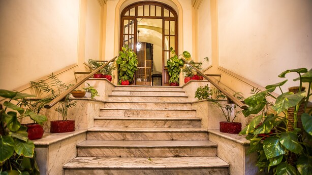 A marble staircase with potted plants on the sides leading to a door with a glass panel. - Hold Rome (Rome)