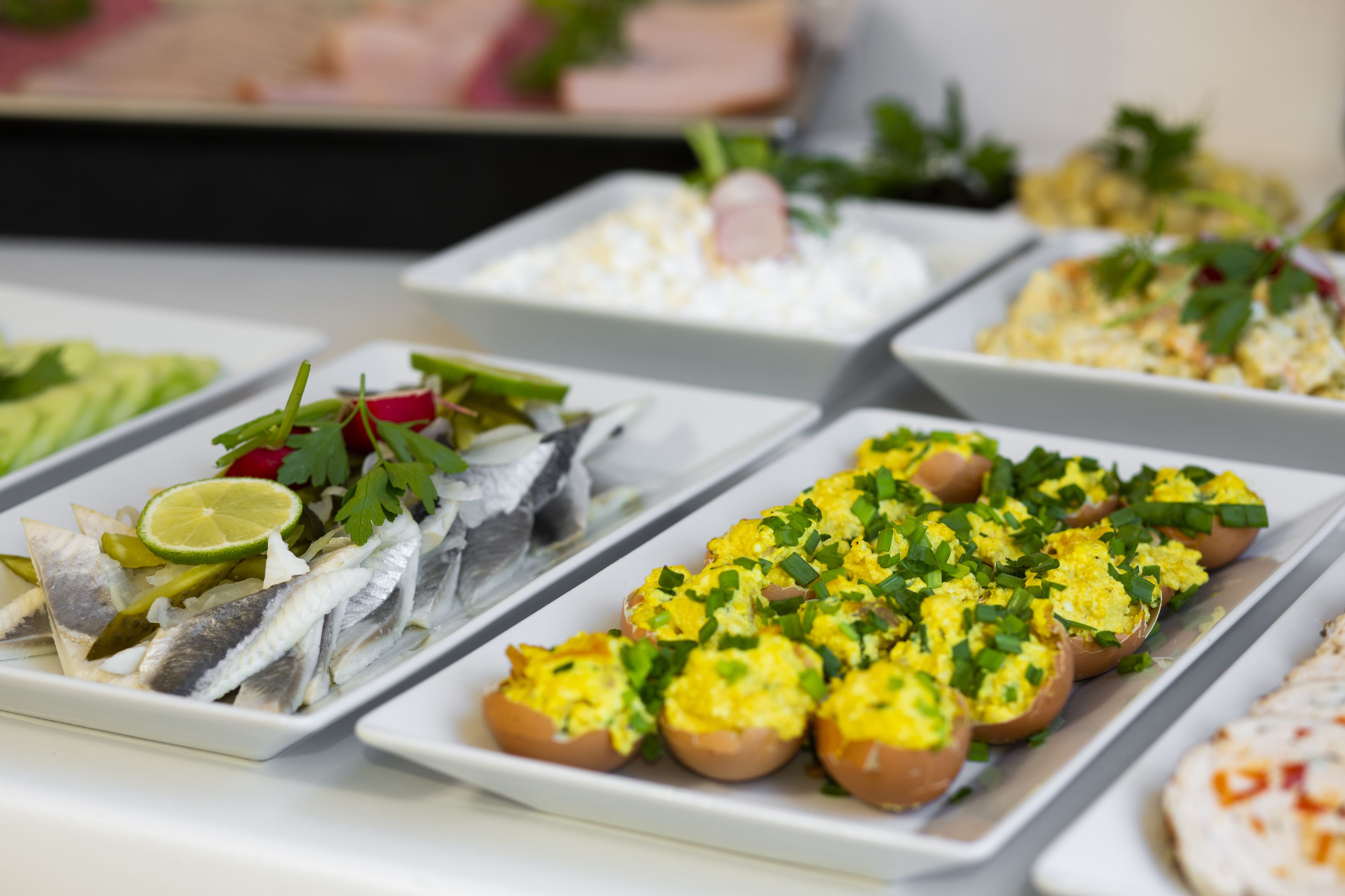 Un bufé con diversos platos, incluyendo pescado, huevos y ensaladas.