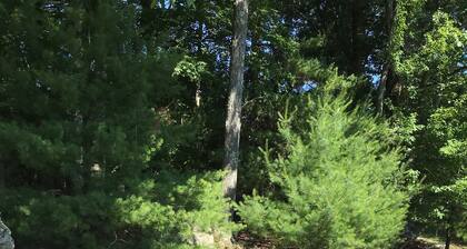 Lake Wallenpaupack Boulder Point Lakefront Cabin with Private Boat Dock