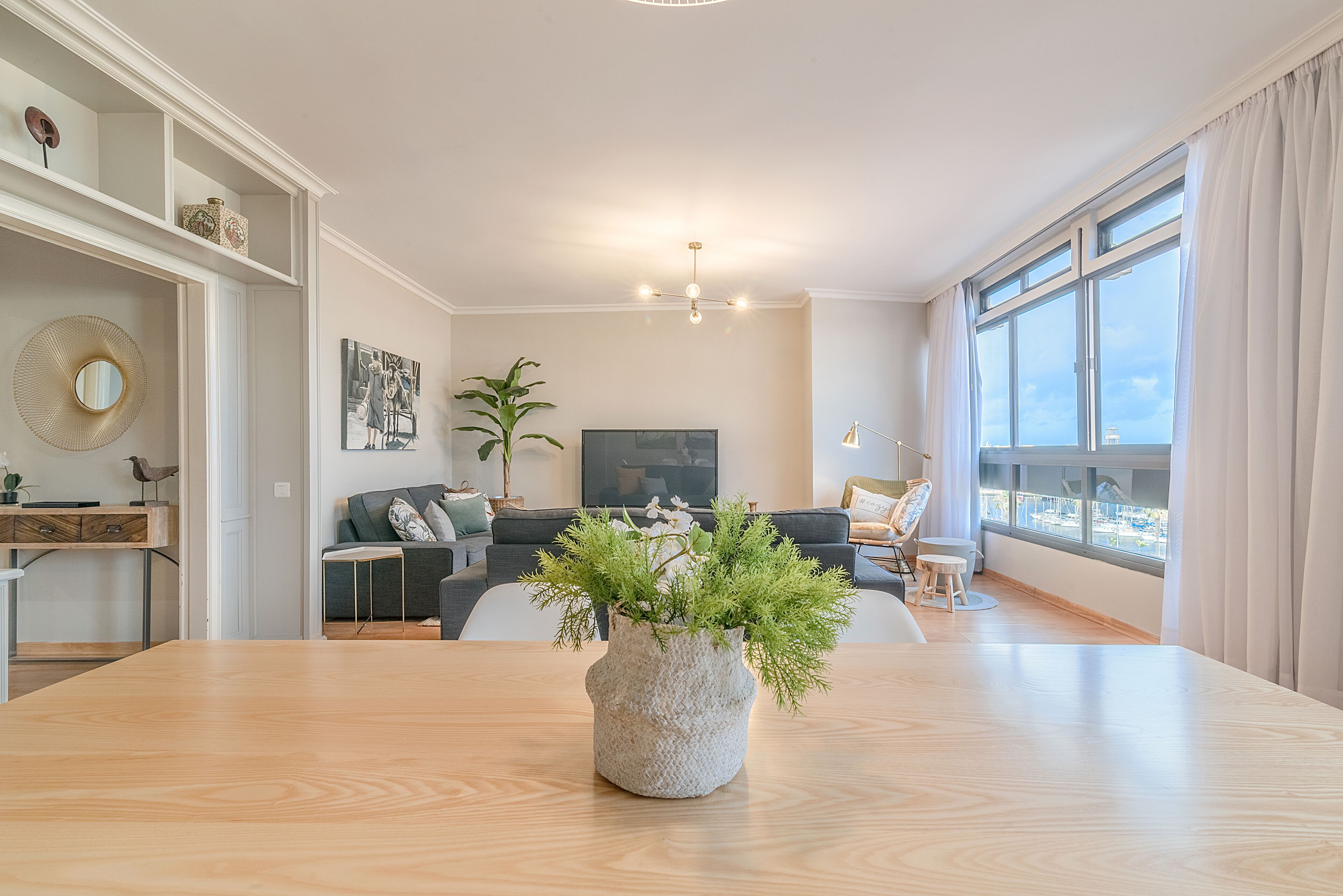 Télévision, lecteur de DVD, livres