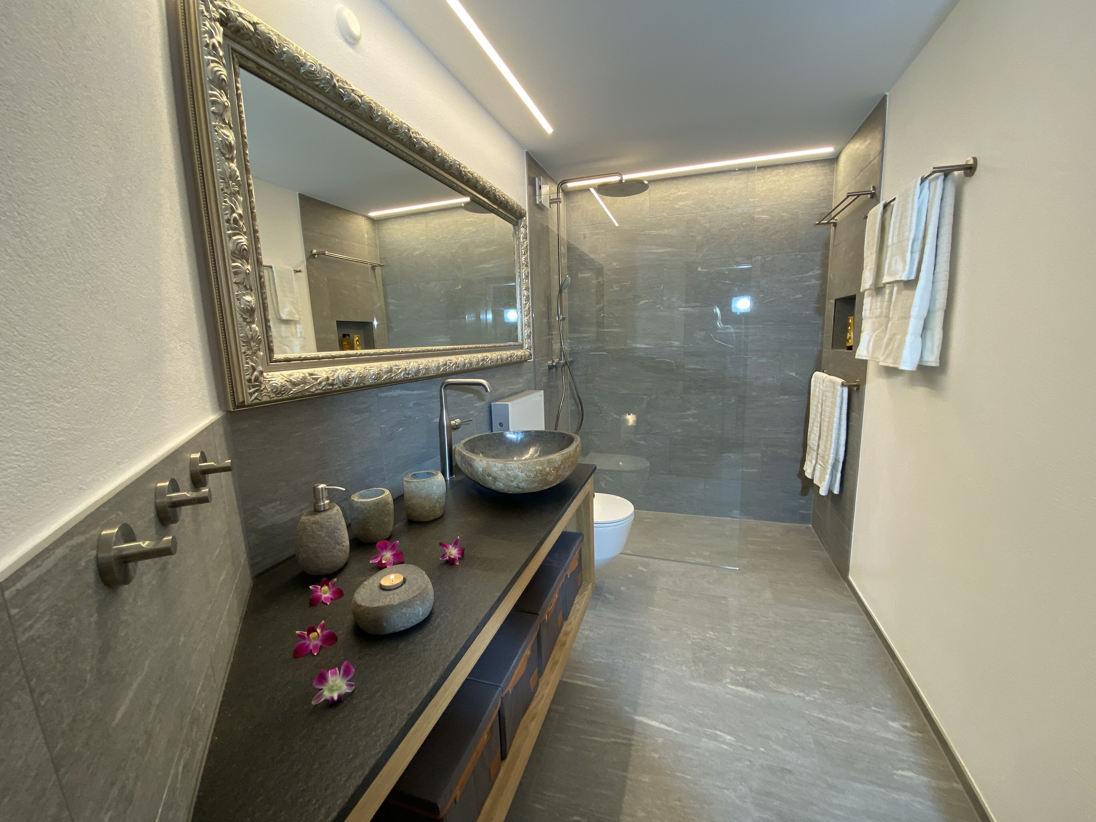 Shower, hair dryer, towels