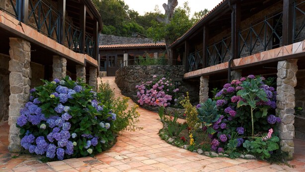 A courtyard with stone walls, a tiled pathway, and large hydrangea bushes. - Lugar Dos Devas (Covelo)