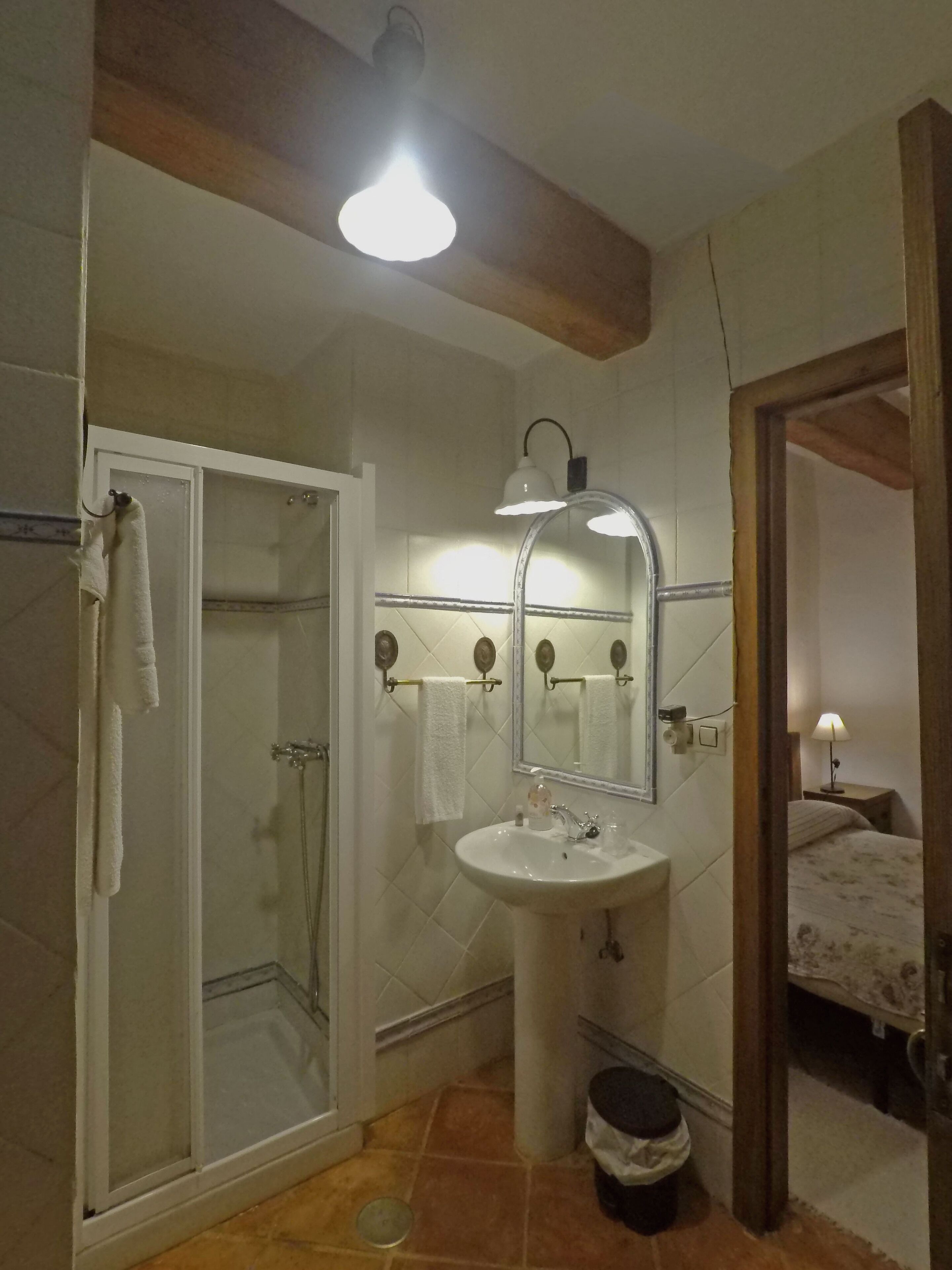 A bathroom with a shower, a sink, a mirror, and a towel rack.