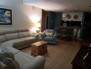 TV, DVD player, books, video library