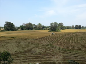 A vast agricultural field with terraced crops and a tractor in the distance.