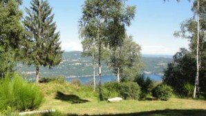 A grassy area with trees and a view of a lake and distant buildings.