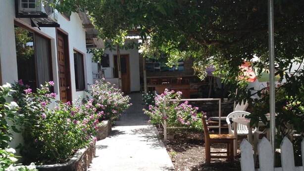 Unclassified image, 1 of 30, button - Darwin Hostel (Puerto Ayora)