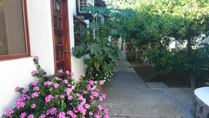 Unclassified image, 2 of 30, button - Darwin Hostel (Puerto Ayora)