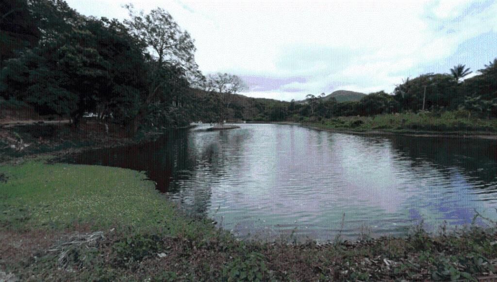 Un lago tranquilo rodeado de vegetación exuberante y colinas.