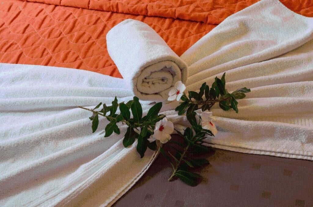 shower, free toiletries, towels, soap