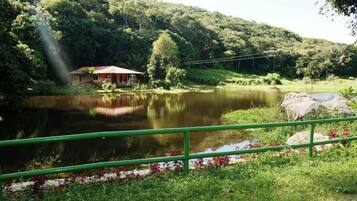 Área da propriedade