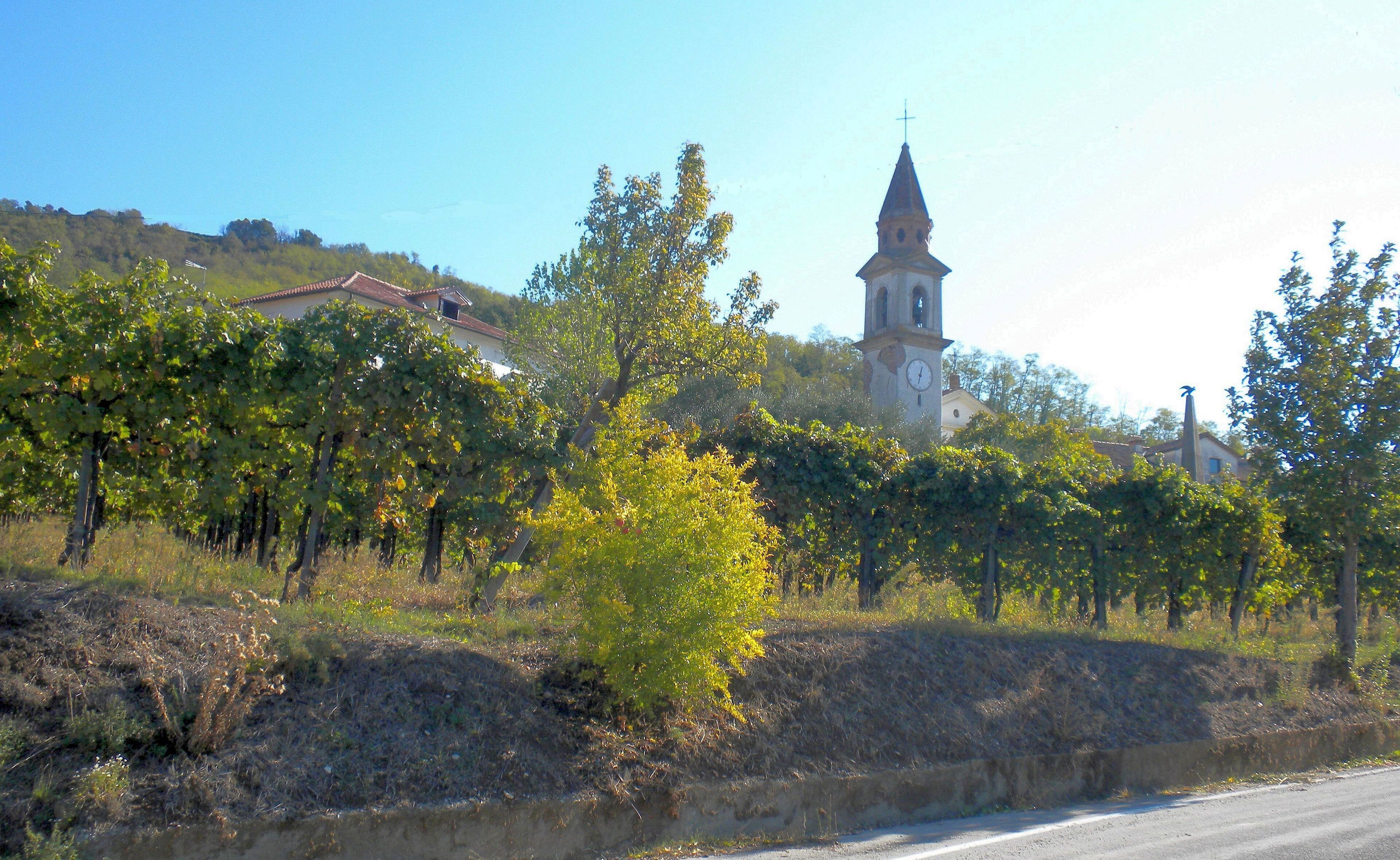 A church with a clock tower, surrounded by vineyards and a road.