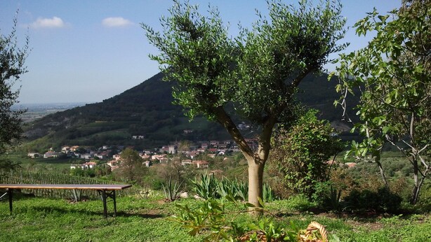 Ein Picknicktisch mit einer Fruchtschale und einer Tischmatte, vor einer malerischen Kulisse aus einem Dorf und Bergen.