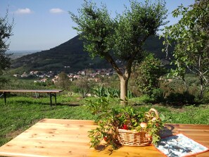 Une table de pique-nique avec un panier de fruits et une nappe, le tout installé devant un paysage composé d’un village et de montagnes.