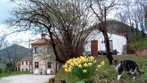 Ein Haus mit Kiesweg, einem Garten mit Narzissen und einer Katze in der Nähe der Blumen.