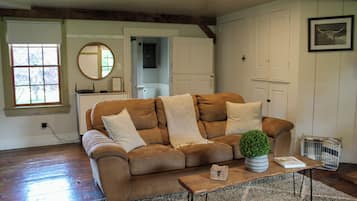 TV, fireplace, DVD player, toys