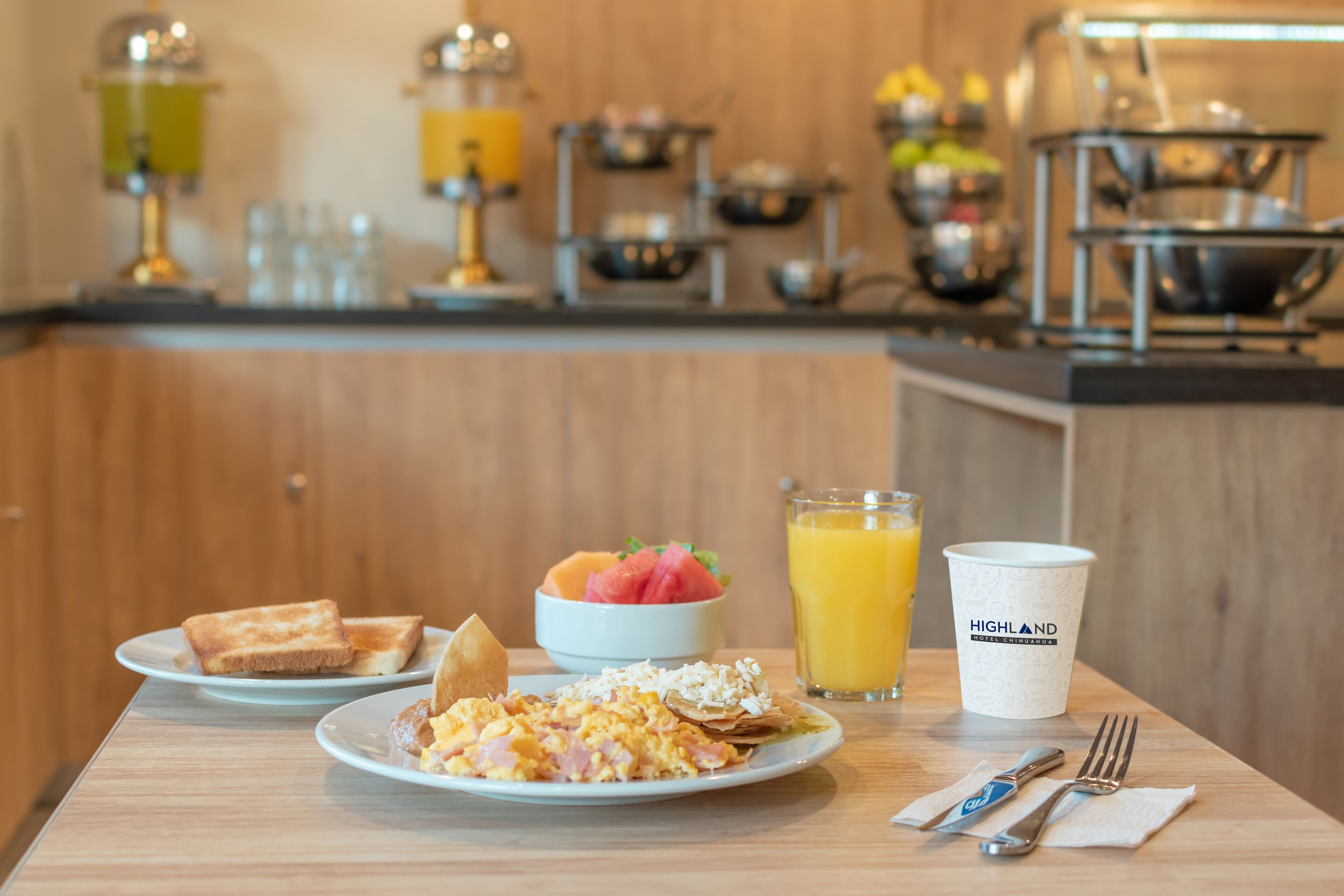 Foto - Highland Chihuahua