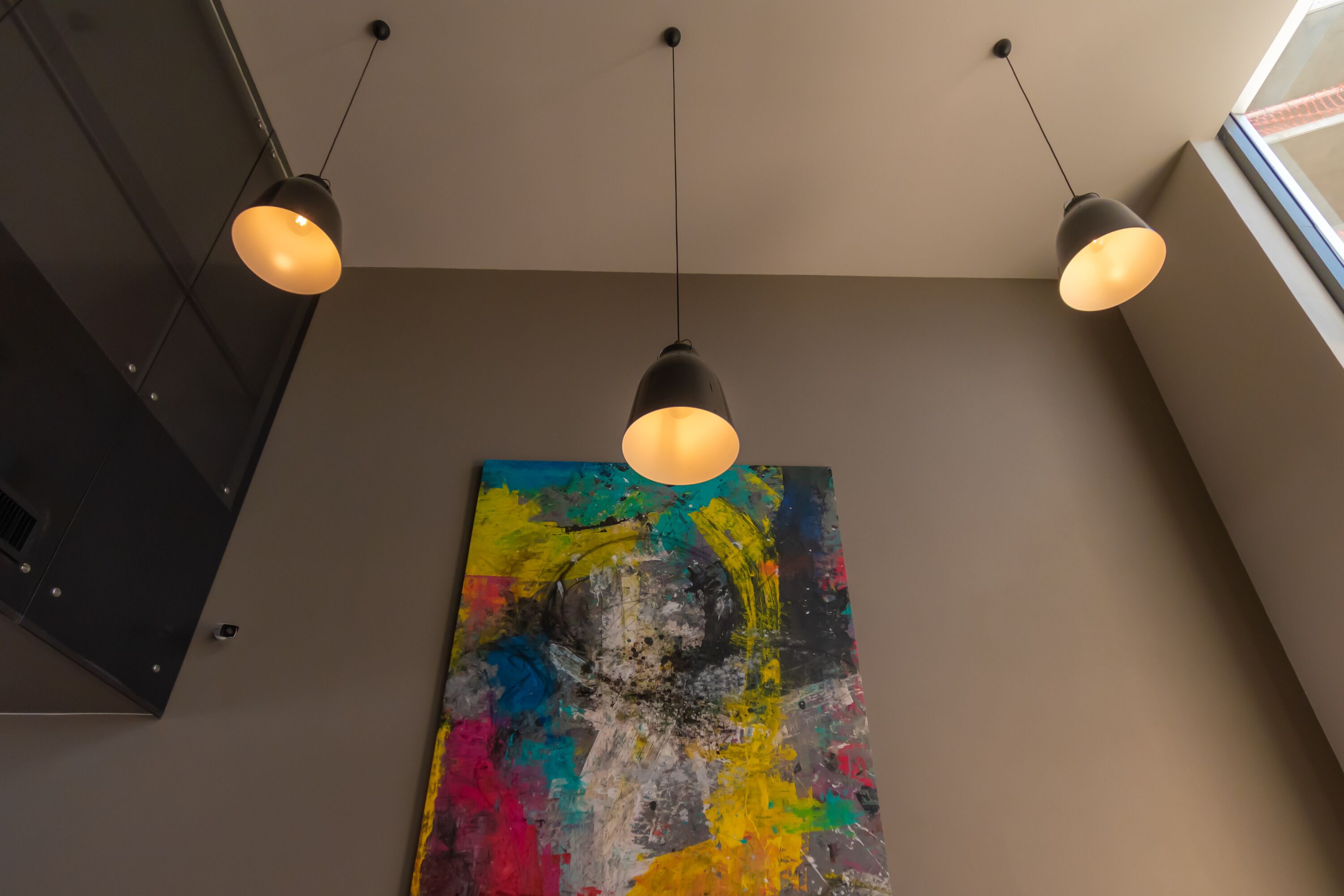 Foto - Highland Chihuahua