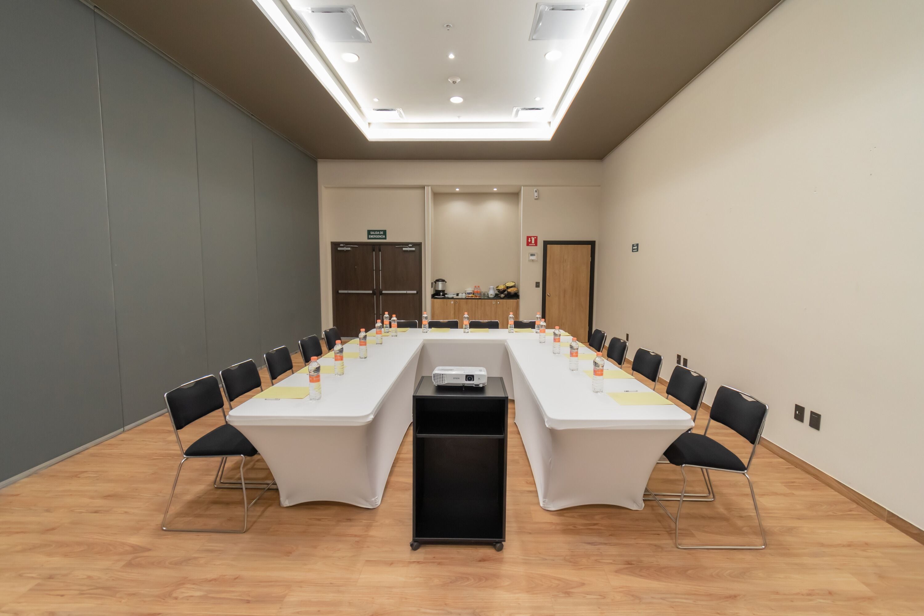 Foto - Highland Chihuahua